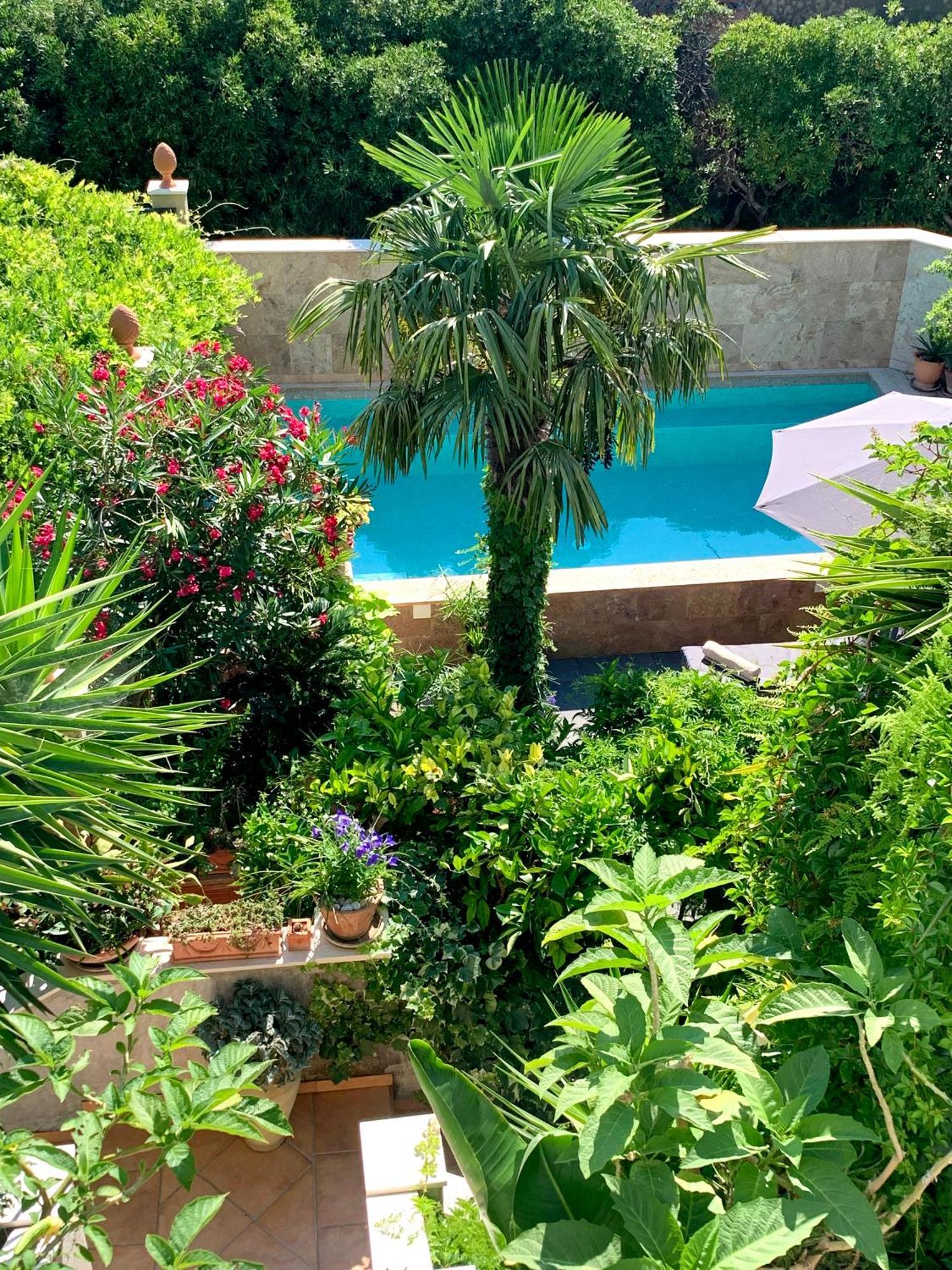 Luxury Pool Central Makarska Apartment By Maryn Exterior photo